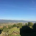 Vigna Del Poggio *