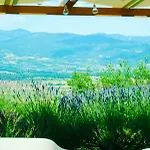 Vigna Del Poggio * Anghiari