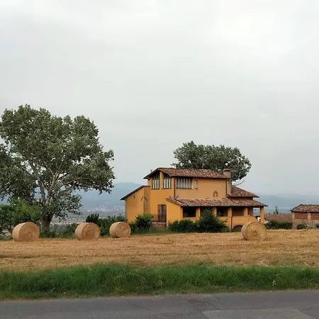 Vigna Del Poggio *