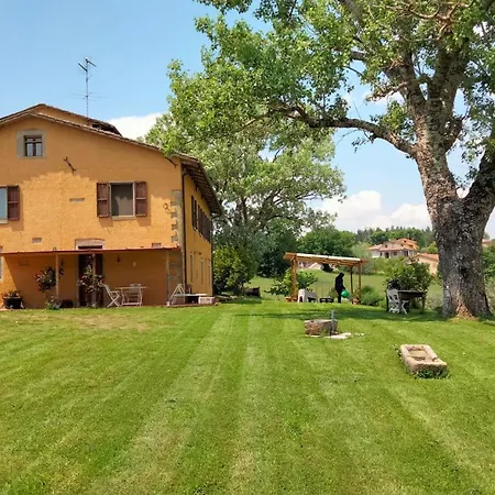 Vigna Del Poggio * Anghiari