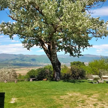 Apartment Vigna Del Poggio *