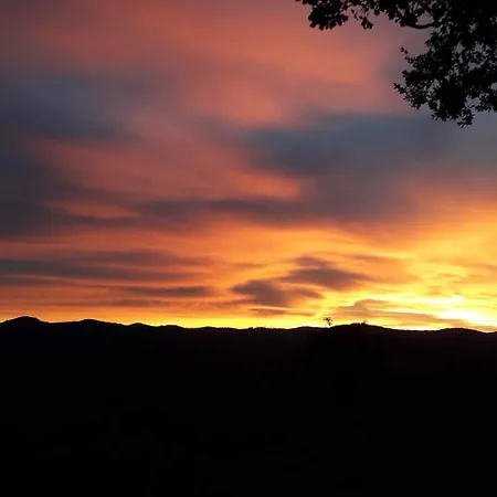 Vigna Del Poggio Διαμέρισμα Anghiari