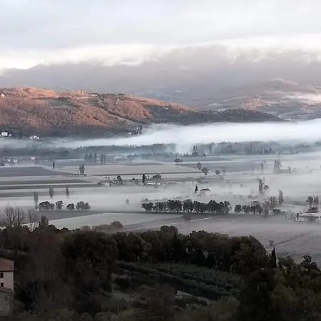 Vigna Del Poggio *
