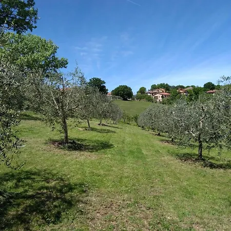 Vigna Del Poggio Anghiari