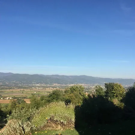 Vigna Del Poggio *