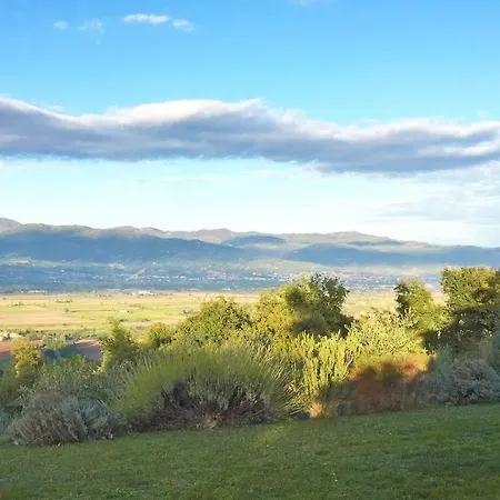 Vigna Del Poggio Apartment