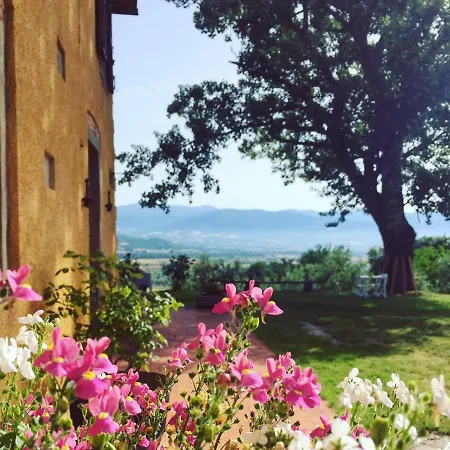 Vigna Del Poggio Apartment Anghiari