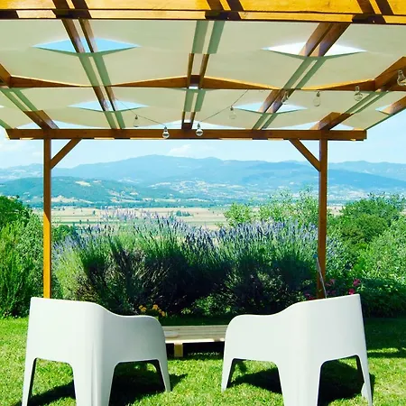 Vigna Del Poggio Anghiari