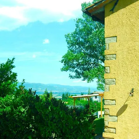 Vigna Del Poggio *