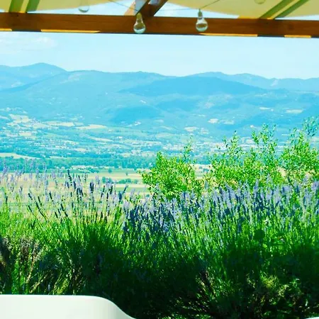 Vigna Del Poggio * Anghiari