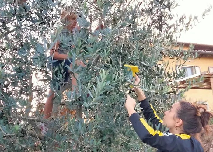 Vigna Del Poggio Διαμέρισμα Anghiari