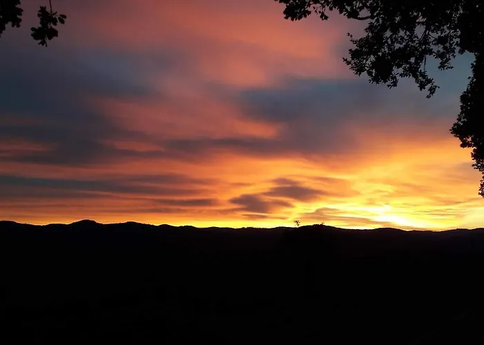 Vigna Del Poggio Διαμέρισμα Anghiari
