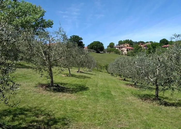 Vigna Del Poggio Anghiari