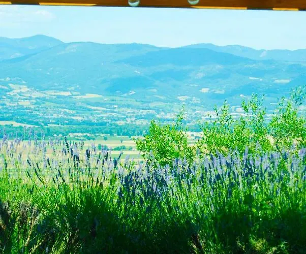 Vigna Del Poggio * Anghiari